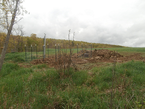TA_P56A_Dayton Farm, Ripley, WV, USA
